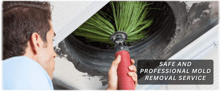Air Duct Mold Removal in Dundee IL