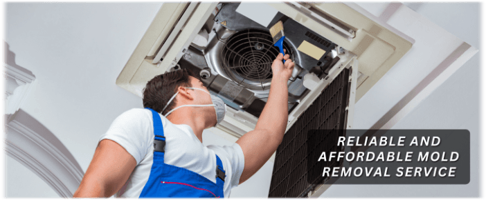 HVAC Mold Removal Dundee IL